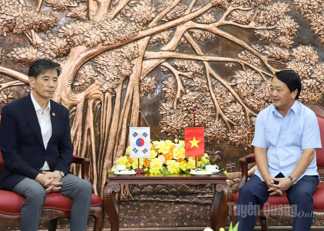 Provincial Party Secretary Hau A Lenh receives leader of Korea - Viet Nam Economic, Cultural Association